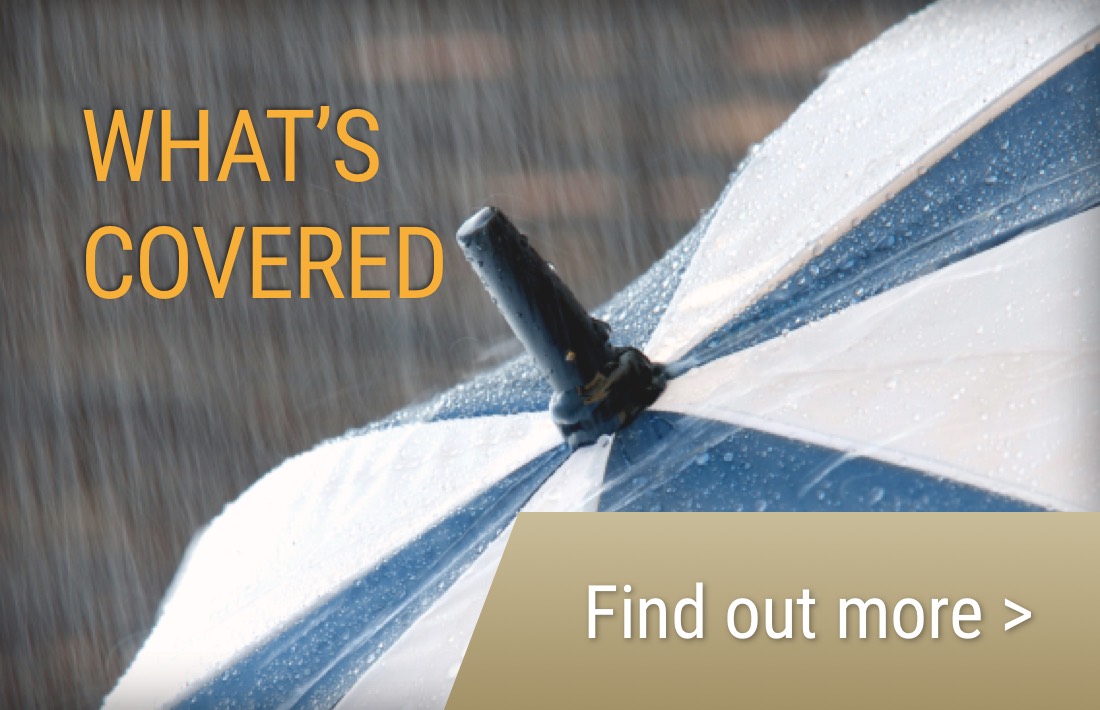 What's Covered. Download the Schedule of Insurance Cover
